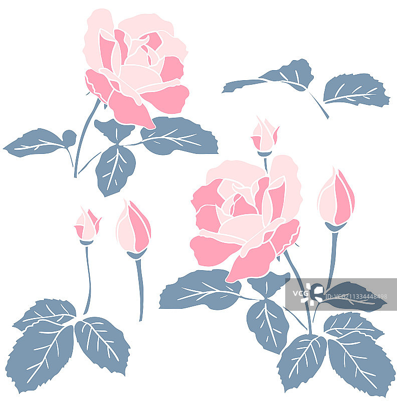 粉红色的玫瑰，带着叶子和花蕾，简单而扁平图片素材