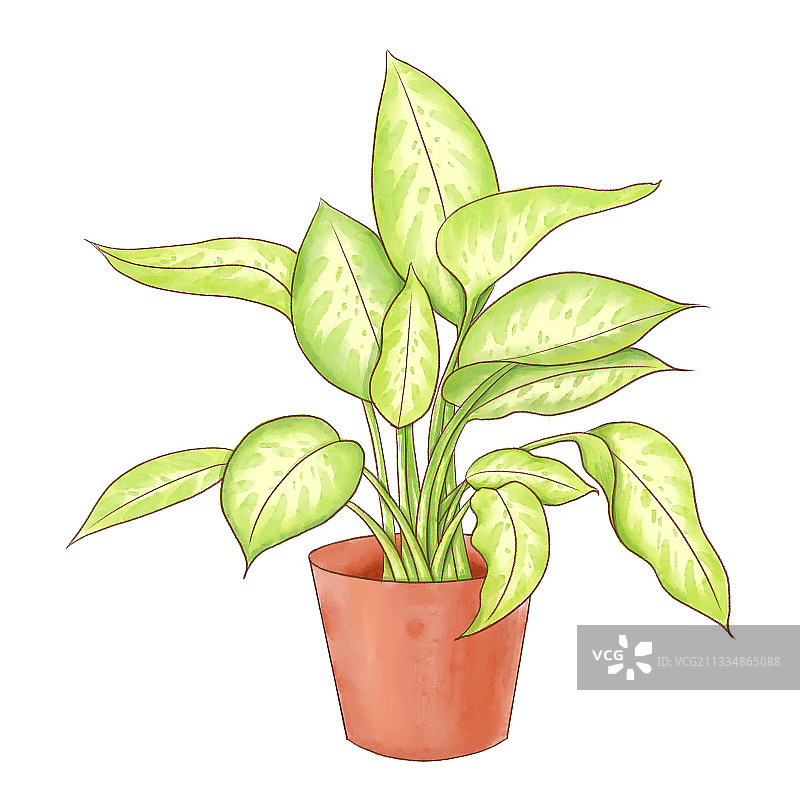 植物盆栽素材设计元素绿萝插画图片素材