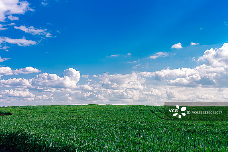 风景如画的农田对天空，乌克兰图片素材