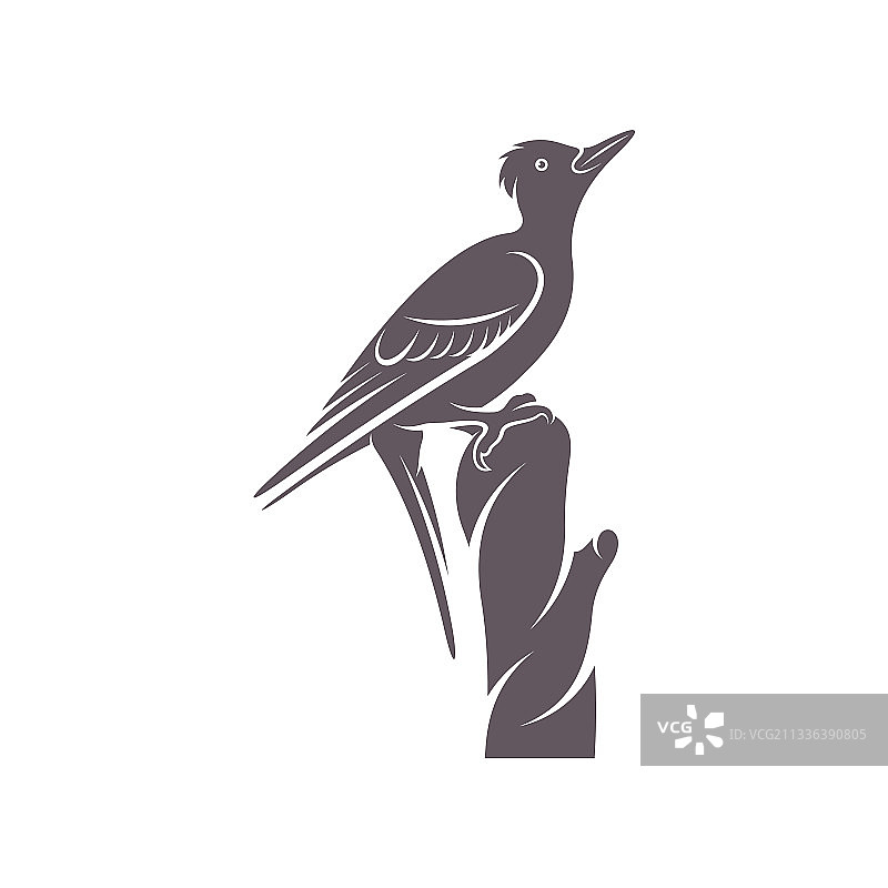 啄木鸟设计创意啄木鸟图片素材
