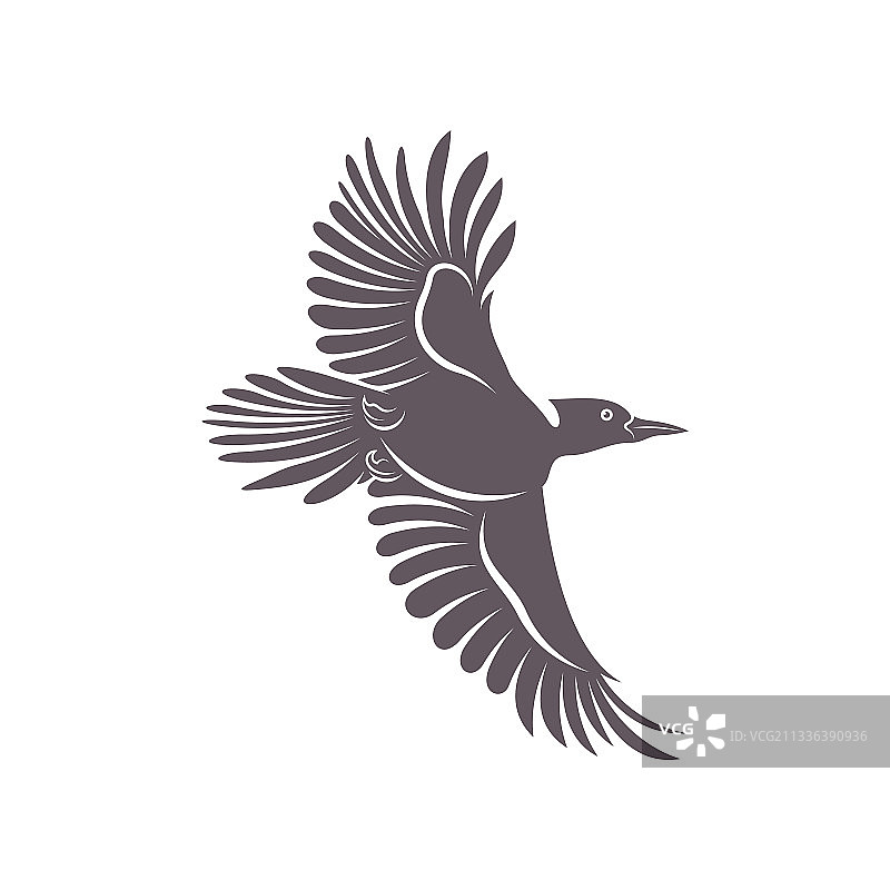 啄木鸟设计创意啄木鸟图片素材