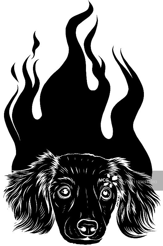 黑色剪影小狗狗与火焰装饰图片素材