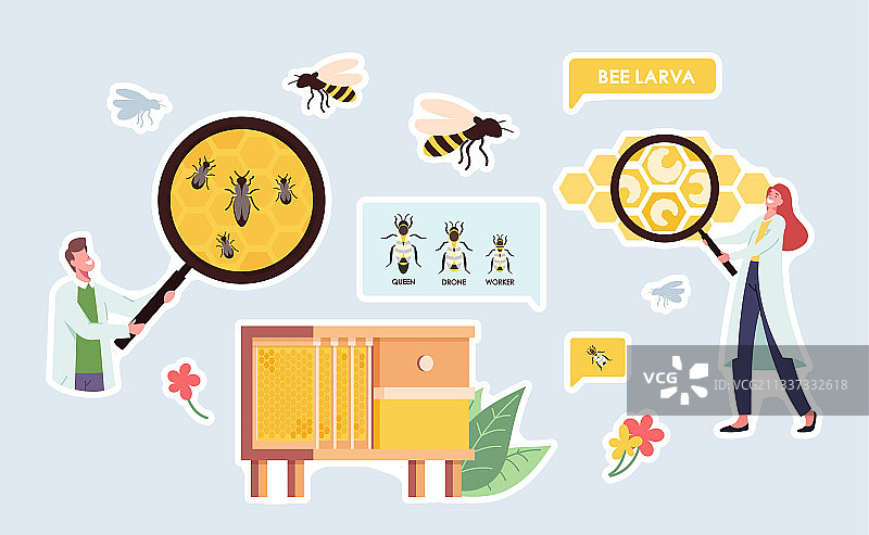设置贴蜂生物学主题图片素材