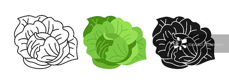 蔬菜白菜卡通设置农村沙拉图片素材