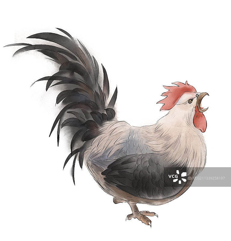 中国风古风水墨动物插画——鸡图片素材