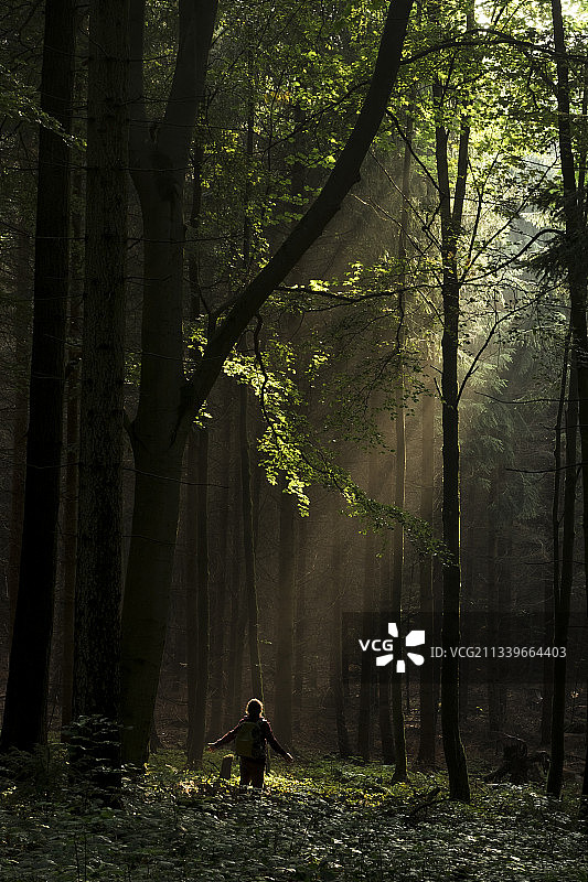 人站在一束光在森林，德国图片素材