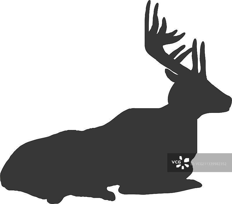 鹿自然轮廓图片素材