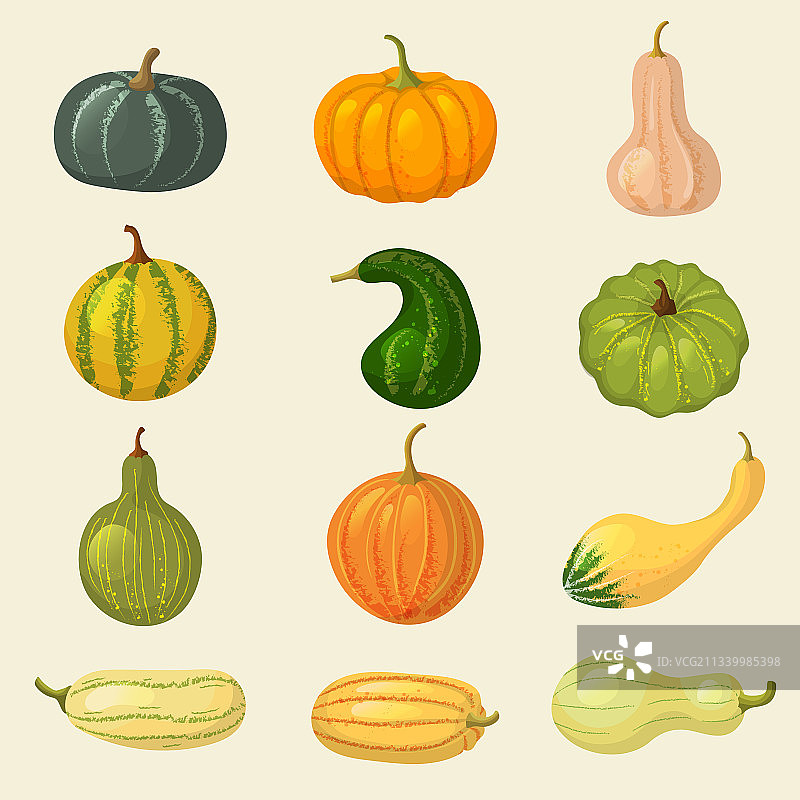 南瓜蔬菜有机植物秋季食用图片素材