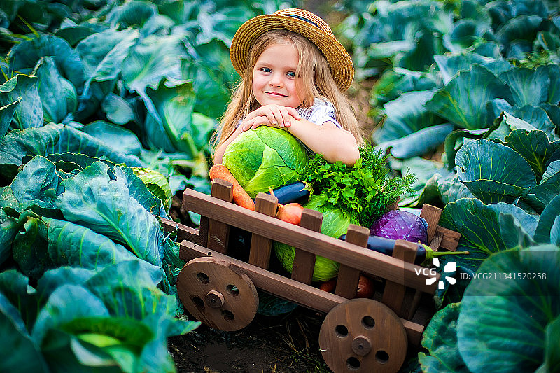戴着草帽的快乐女孩在白菜地里提着一篮蔬菜图片素材
