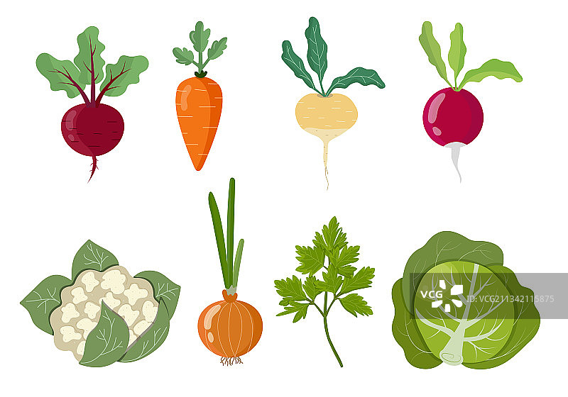 设置五颜六色的自制蔬菜隔离图片素材