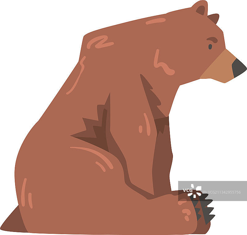 侧景坐着棕熊大野图片素材