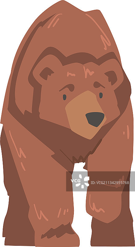 大型棕熊野生哺乳动物卡通图片素材
