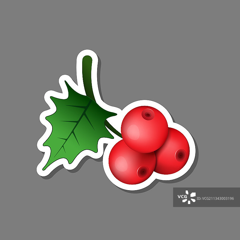圣诞冬青浆果树枝贴纸图片素材