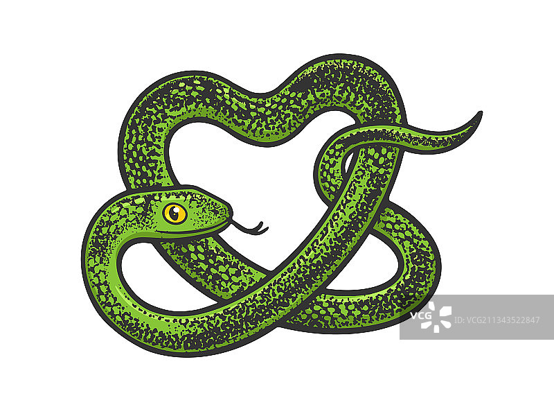 蛇在形态心素描图片素材