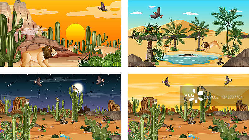 不同场景的沙漠森林景观图片素材