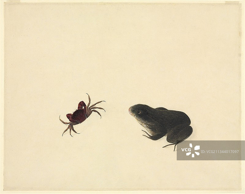 螃蟹和青蛙，19世纪图片素材