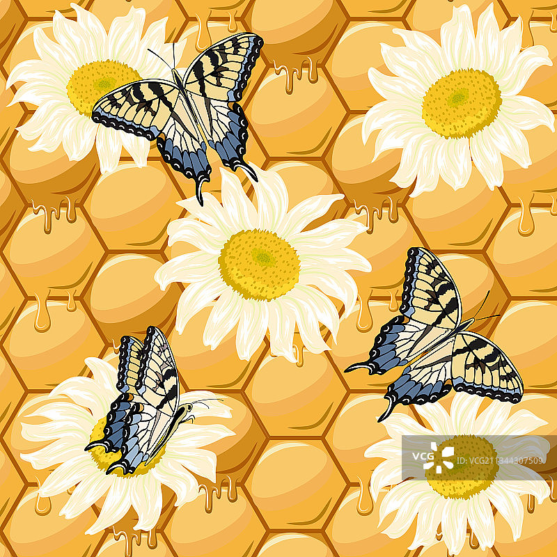 菊花和蝴蝶在蜂巢上图片素材