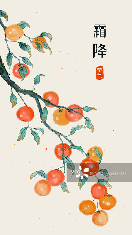 中国风柿子图片素材