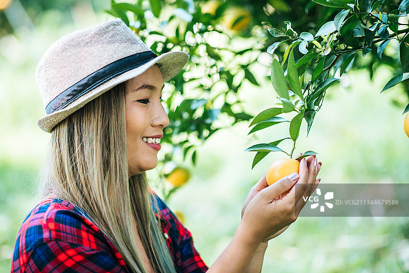 微笑的年轻女子拿着水果站在树旁图片素材