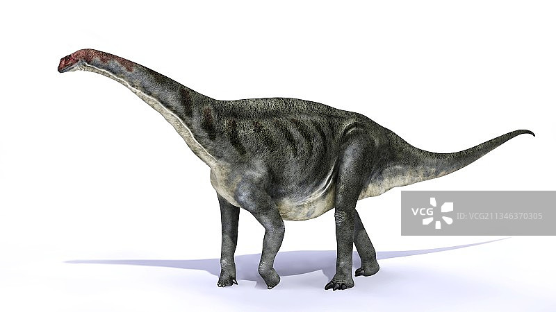 Galvesaurus恐龙,艺术品图片素材