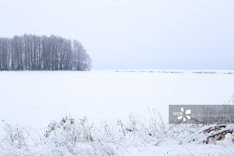 白雪覆盖的田野在天空的衬托下的风景图片素材