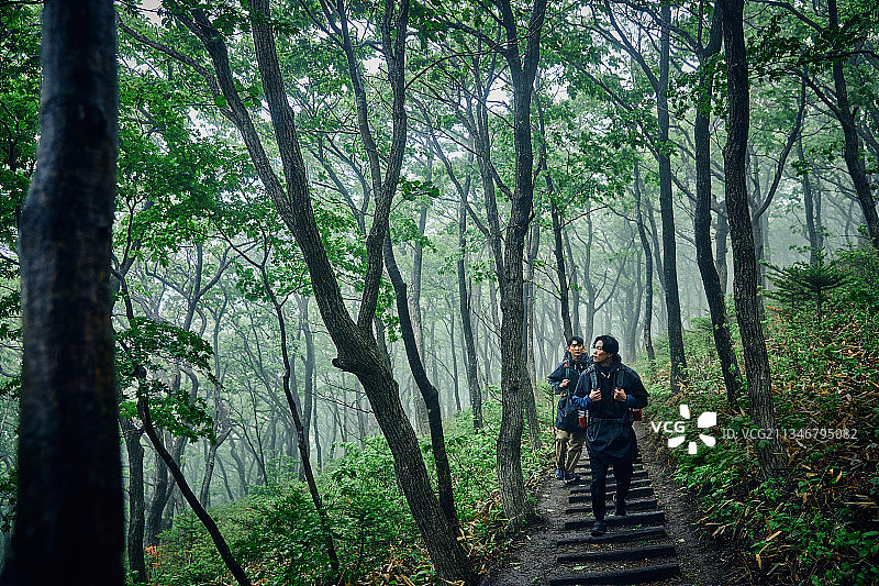 男，小径，森林，旅行，背包客，徒步旅行，步行图片素材