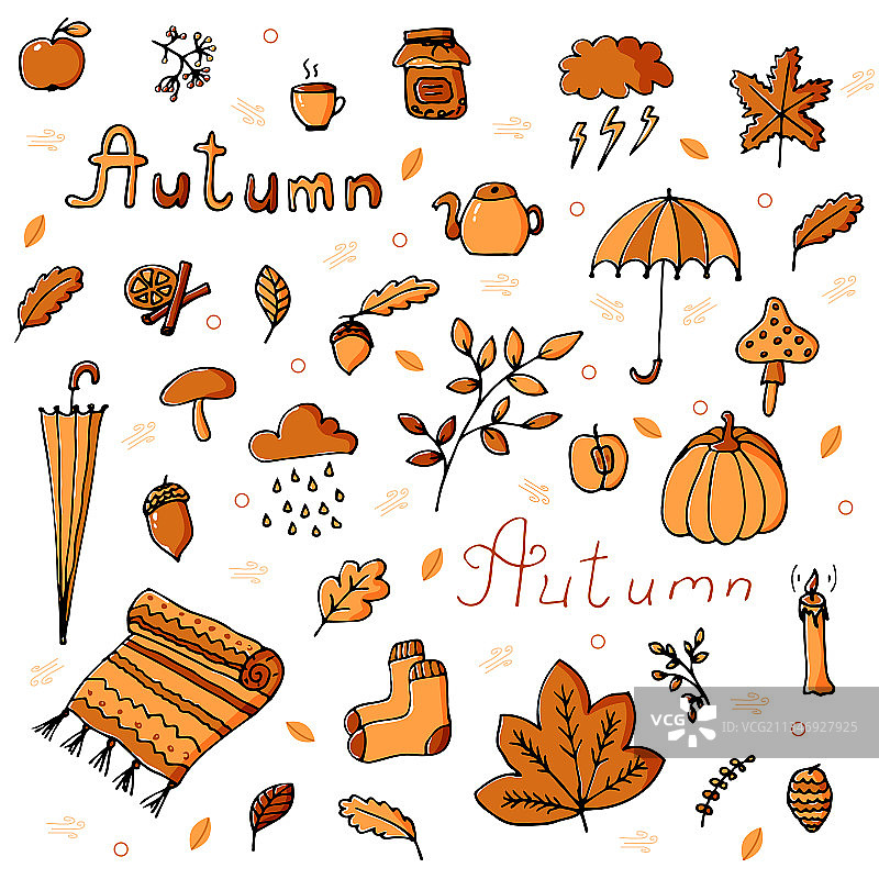 秋色以橙色和棕色的各种色调呈现图片素材