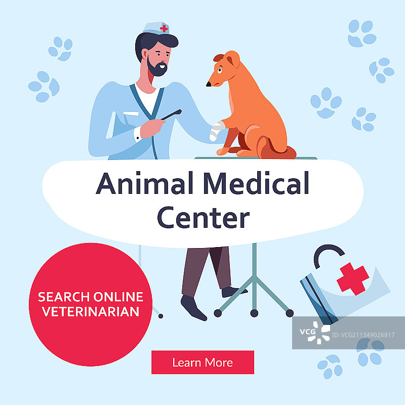 动物医疗中心为宠物提供专业护理图片素材