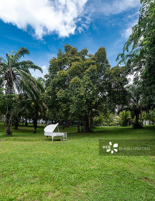 森林里一架钢琴、草坪、唯美、创意、商业、白色、布景图片素材