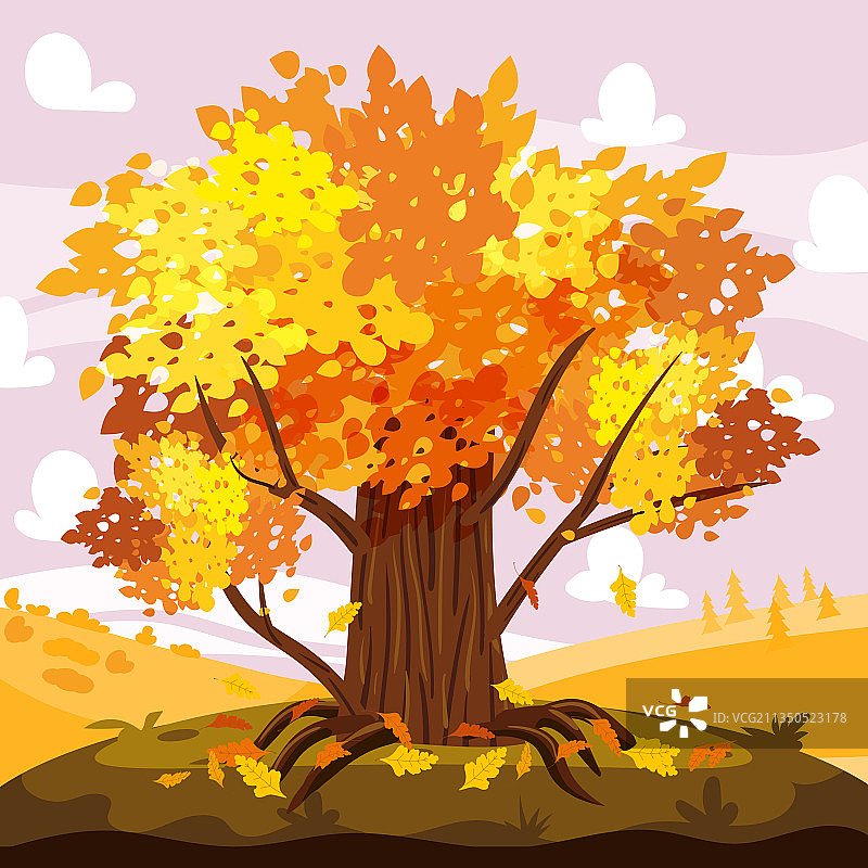 秋天橡树景观城市公园的秋天树图片素材