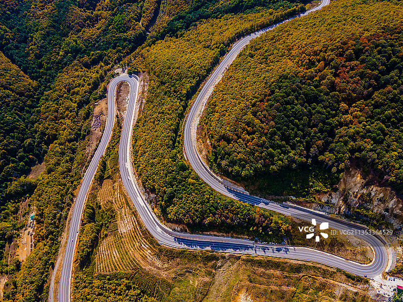 鸟瞰图在森林中的树木中蜿蜒的道路，土耳其图片素材