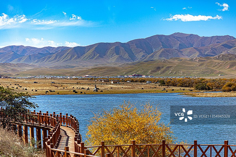 甘南藏族自治州夏河县桑科草原湿地公园图片素材