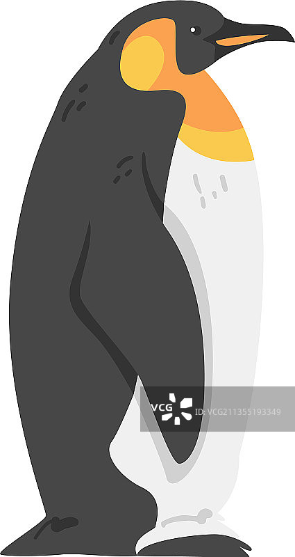 帝企鹅作为水生不会飞的鸟具有图片素材