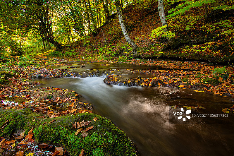 保加利亚，秋天森林中的溪流风景图片素材