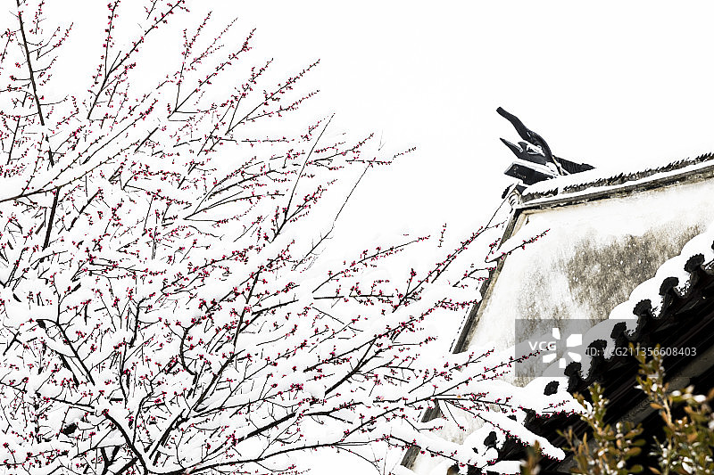 江苏苏州园林留园冬季雪景图片素材