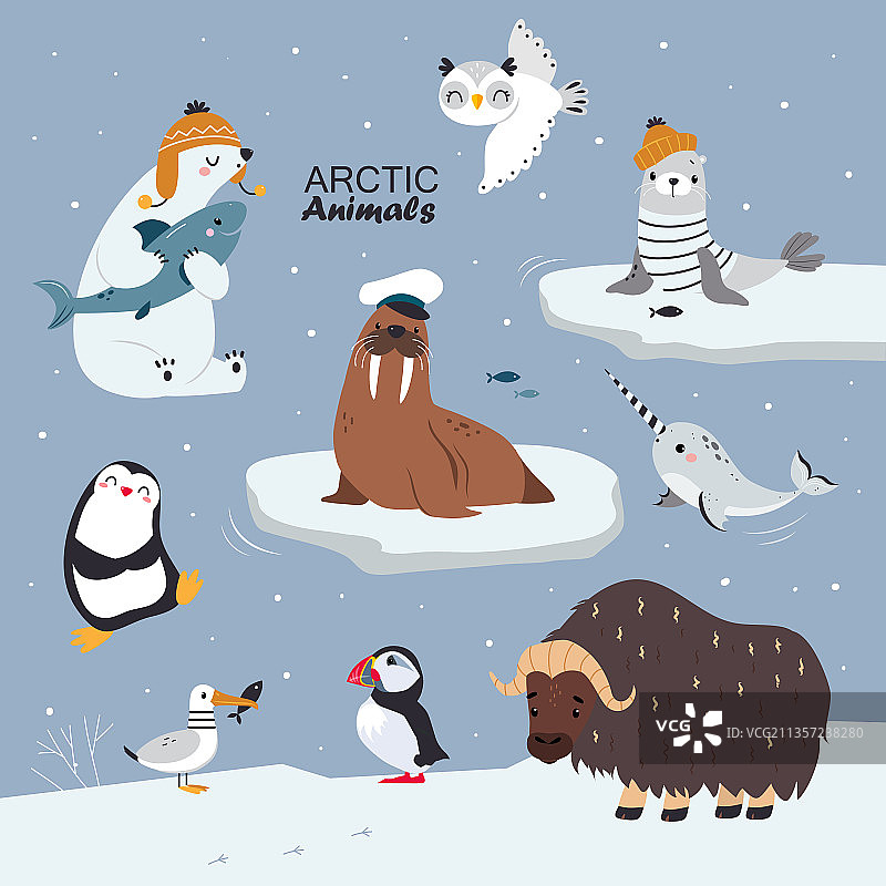 北极动物与企鹅和北极熊在温暖图片素材