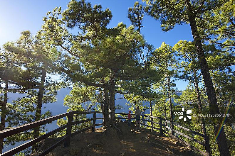 la Caldera de Taburiente国家公园在米拉多德拉斯乔萨斯，拉帕尔马，加那利群岛，西班牙，欧洲图片素材