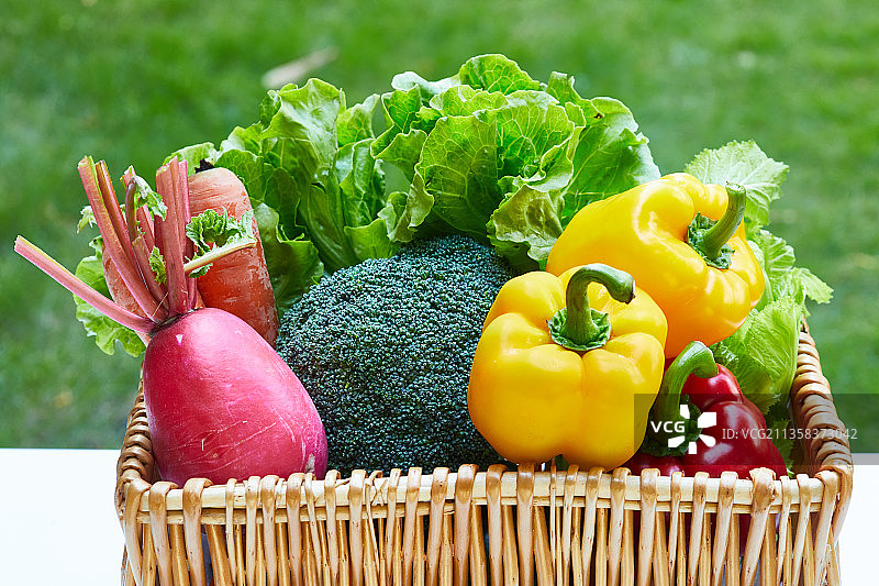 花园里一篮有甜椒 萝卜 西兰花和生菜的新鲜有机蔬菜图片素材