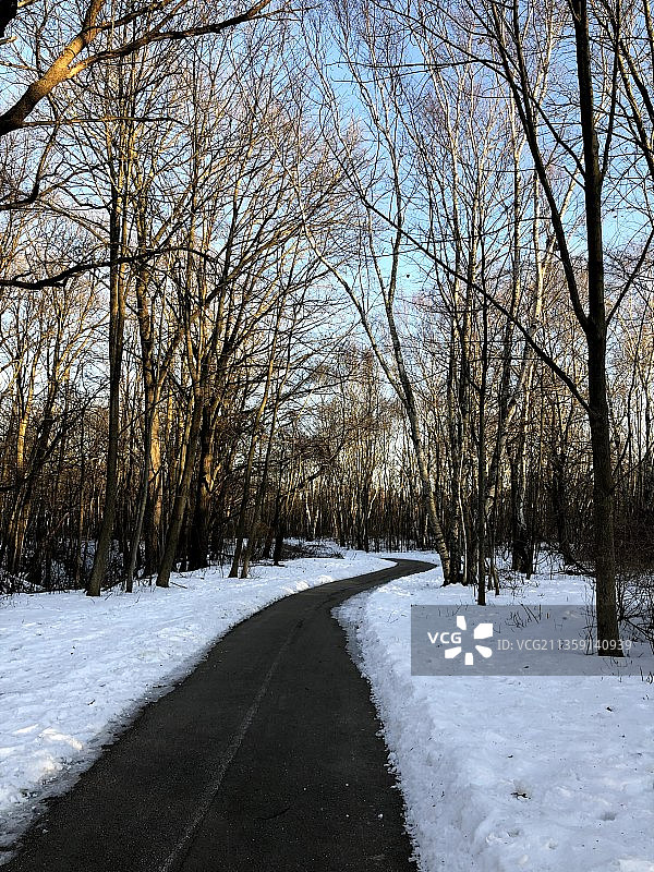 美国，威斯康辛州，密尔沃基，冬天光秃秃的树旁的空旷道路图片素材
