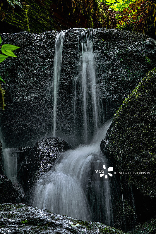 Trillium瀑布，森林瀑布的风景，红木国家和州立公园，加利福尼亚，美国图片素材