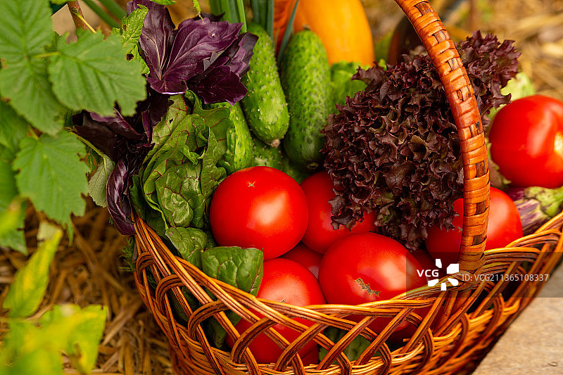 天然健康食品，新鲜水果和蔬菜图片素材