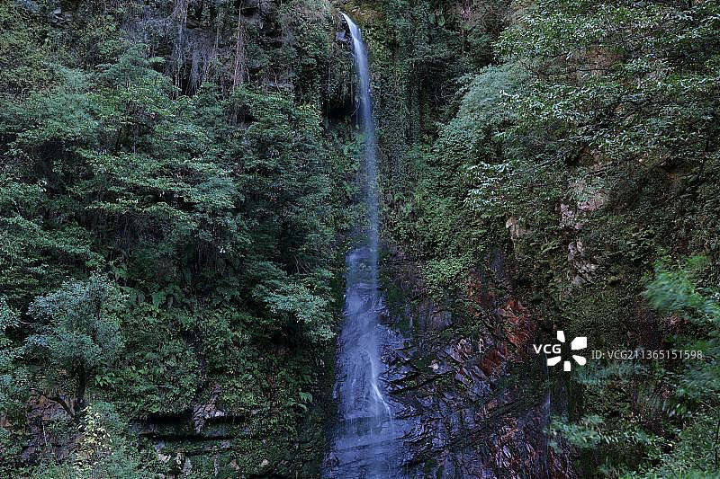 Chhoie瀑布，森林中的瀑布景观图片素材