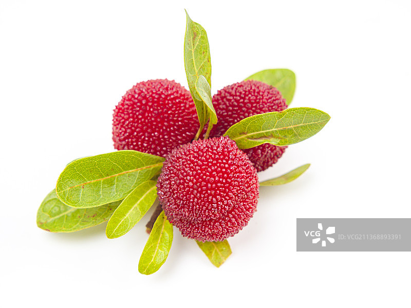 新鲜杨梅水果美食图片素材