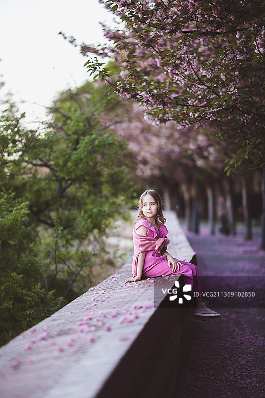 一个美丽的女孩坐在樱花公园在春天的一天图片素材