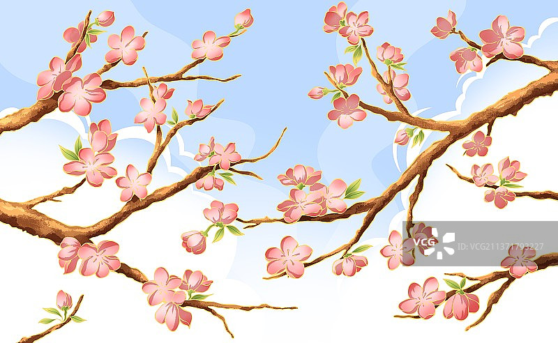春天蓝天白云下的桃花插画图片素材