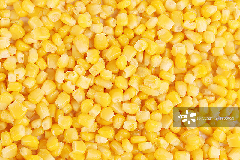 美味的黄色玉米粒，白色背景下的全镜头玉米，摩尔多瓦图片素材