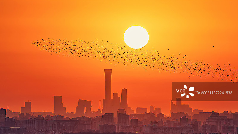 日出时群鸟飞过中国尊图片素材