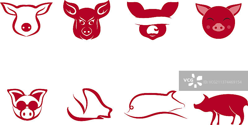 猪标志和符号模板图片素材