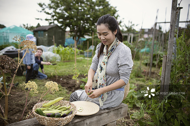微笑的女人在菜园子里剥黄油豆图片素材