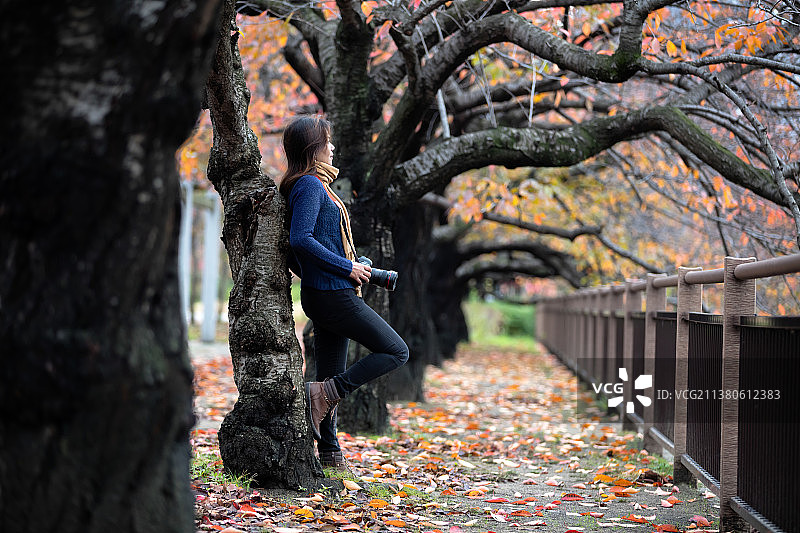 在秋天，日本，站在公园树干旁的女人的侧面视图图片素材